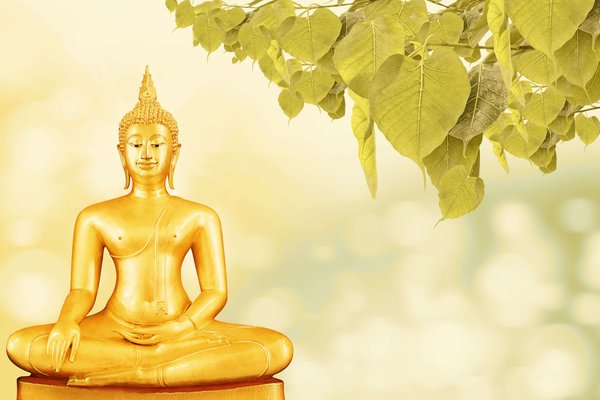 L'éclat spirituel des lampes Bouddha