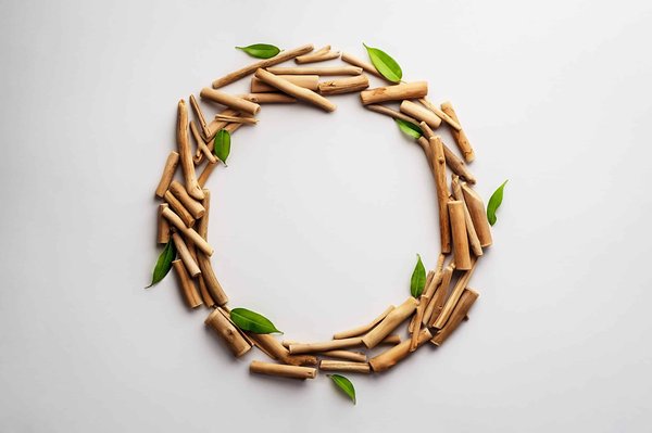 Protéger les espèces menacées : Quel rôle pour l'homme ?