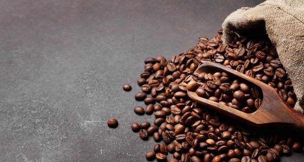 Spécialiste en café : Où trouver le meilleur café en grain ?
